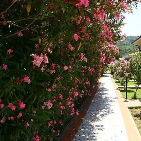 Borgo Marino Albatros Semesterpark